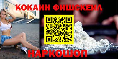 мдпв Кингисепп