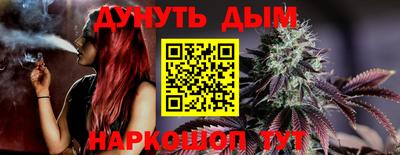 мдпв Кингисепп