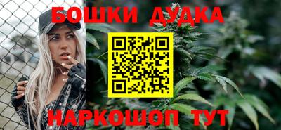 мдпв Кингисепп