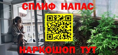 мдпв Кингисепп