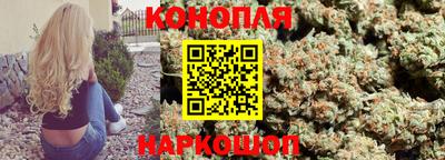 мдпв Кингисепп