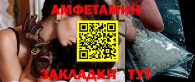 мдпв Кингисепп