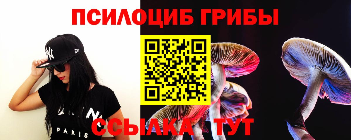 цены наркотик  Псилоцибиновые грибы Psilocybe  Вход с VPN  Великие Луки 